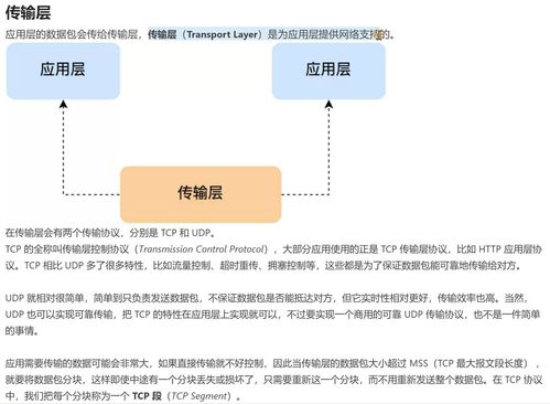 计算机网络基础